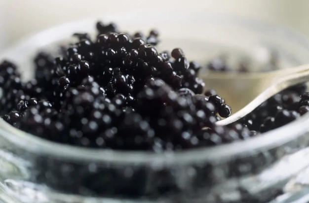 魚子醬 生產過程