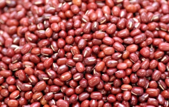 紅豆營養成分