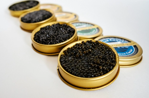 魚子醬貴的真相