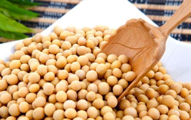 大豆 是 黃豆 嗎
