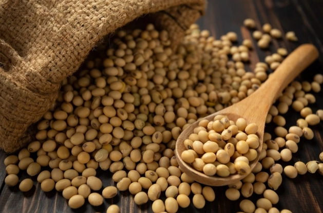 大豆 是 黃豆 嗎
