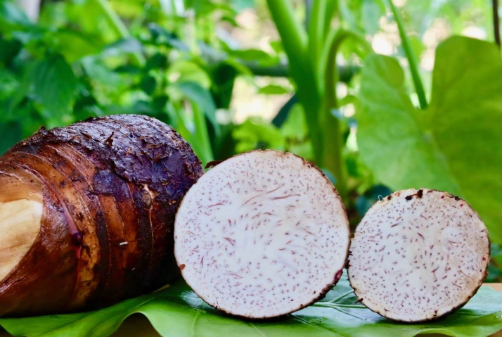 腎臟病飲食芋頭