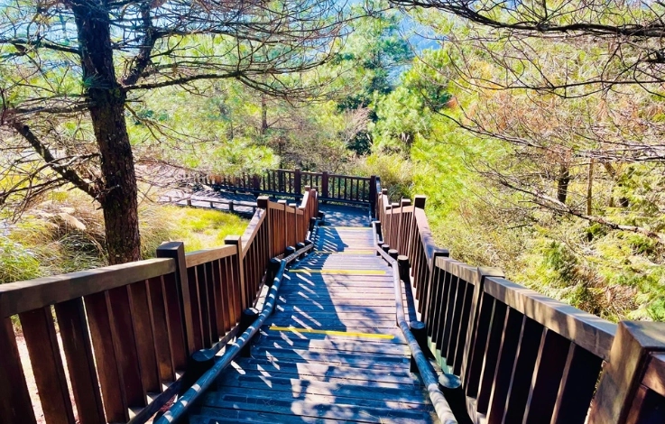 觀霧森林遊樂區攻略