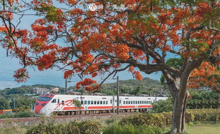 苗栗一日遊 苗栗一日遊