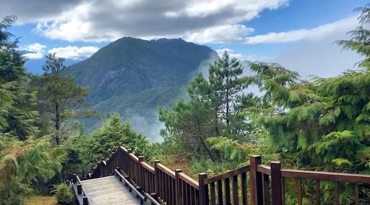 觀霧森林遊樂區攻略