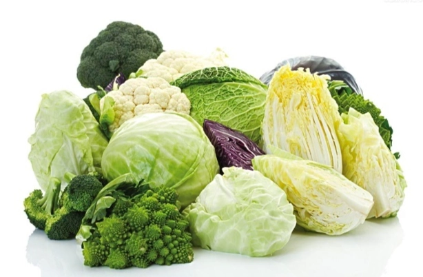 生食十字花科