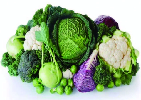 花椰菜脹氣