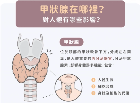 甲狀腺腫大營養建議