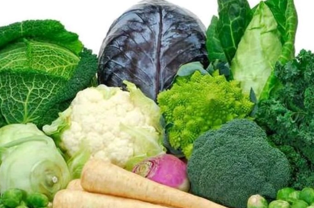 十字花科蔬菜食譜