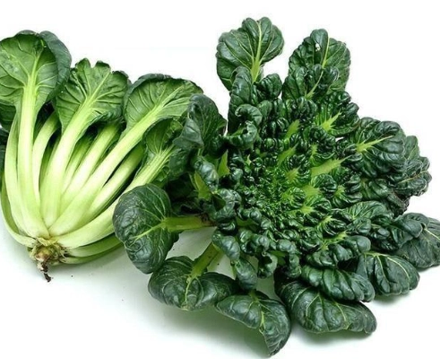 十字花科保健食品挑選