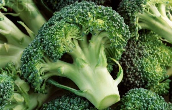 十字花科蔬菜好處