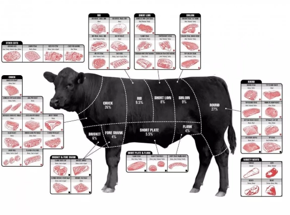 牛排部位比較