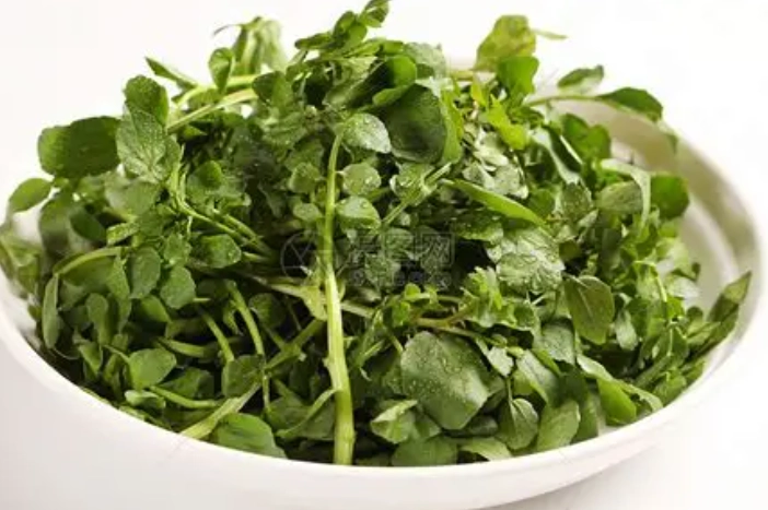 西洋菜健康風險