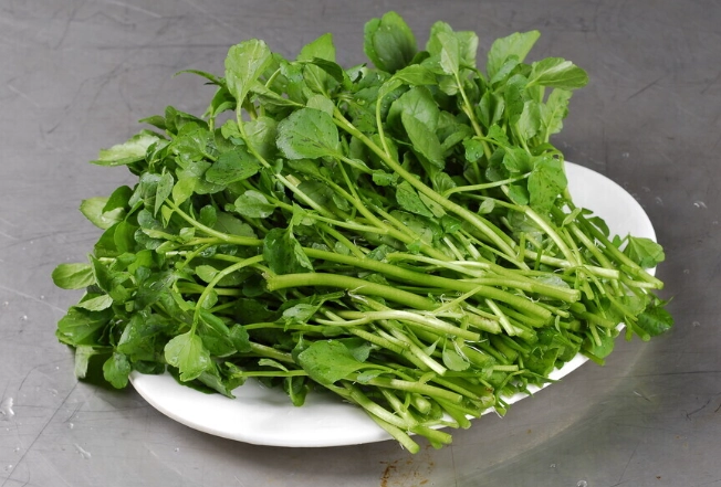 台北西洋菜羊肉餐廳