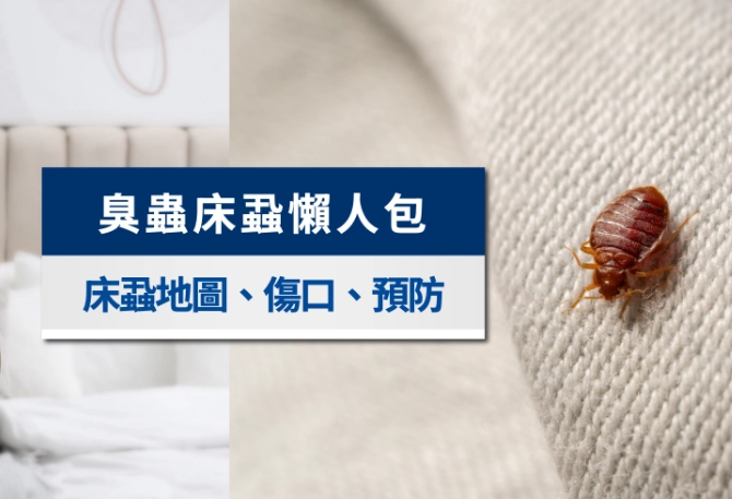 除床蝨方法