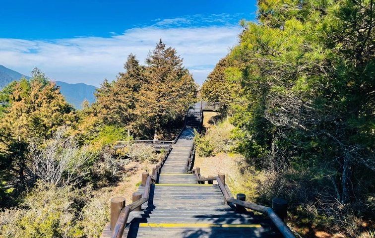 觀霧國家森林遊樂區一日遊全攻略：交通、景點、行程規劃一次搞定