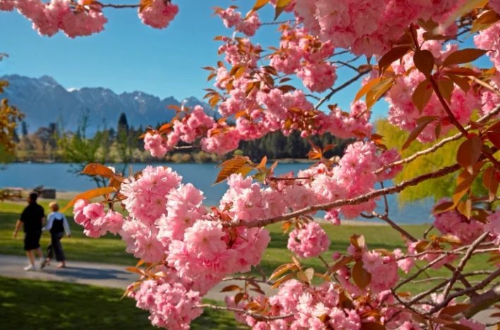 紐 西 蘭 春天 穿搭