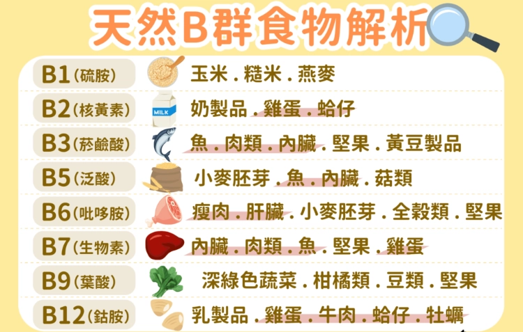 吃B群時間全攻略：最佳服用時機、常見錯誤與專家建議