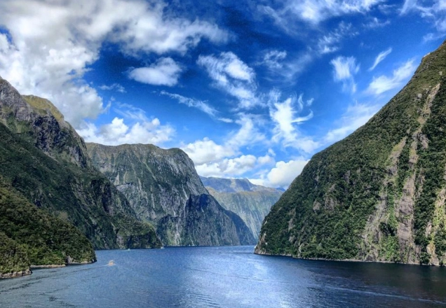 紐西蘭人口比例