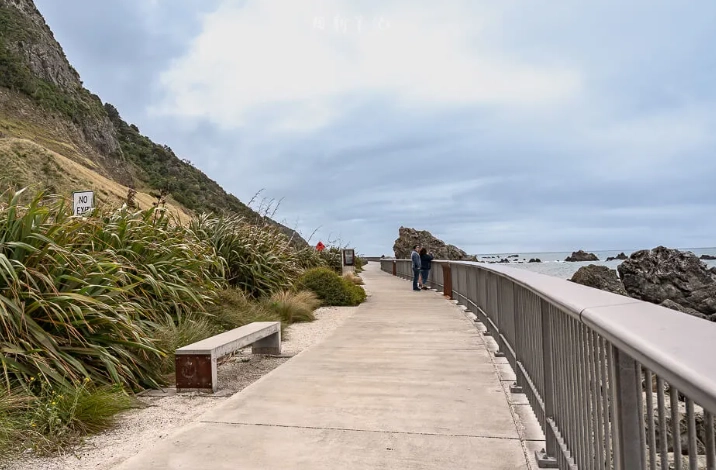 凱庫拉景點全攻略：與鯨共游、海豹同樂的紐西蘭海洋生態之旅