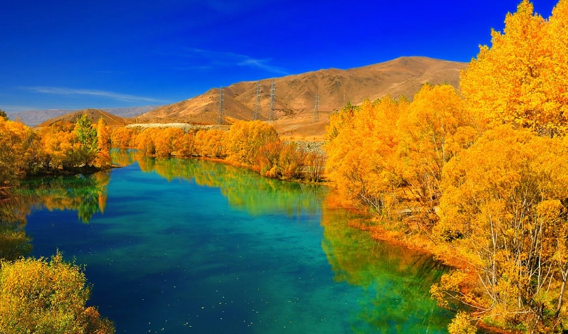 紐西蘭四季旅遊全攻略：最佳季節、活動與行程規劃指南