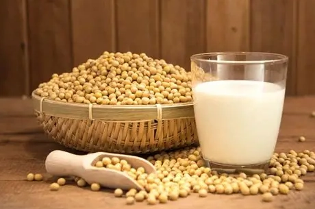 破壁機豆漿比例