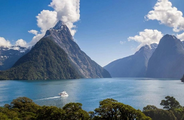 紐西蘭入境申報單填寫全攻略：避免海關麻煩的實用指南