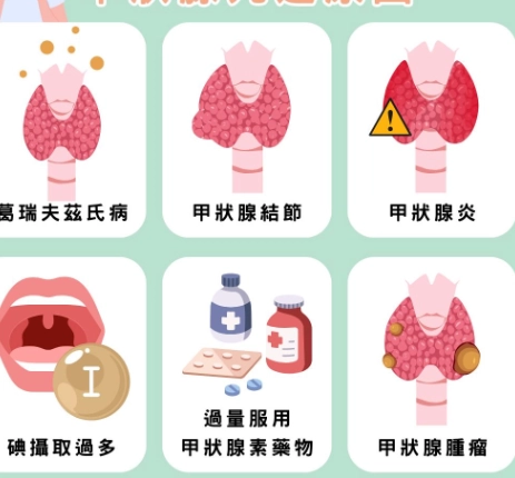 甲狀腺低下不能吃什麼