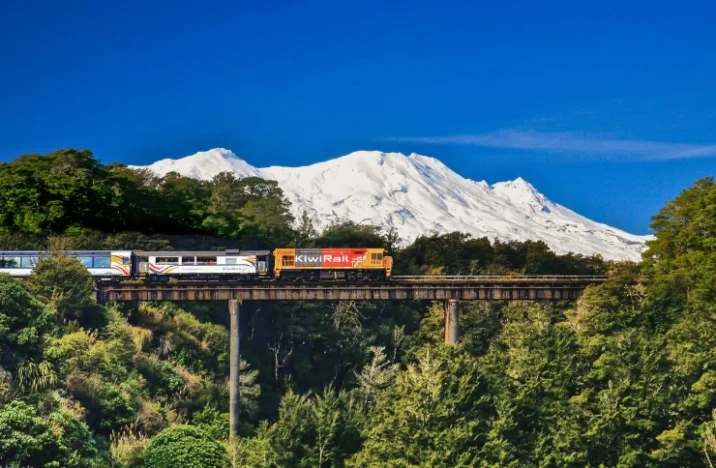 奧克蘭到威靈頓交通