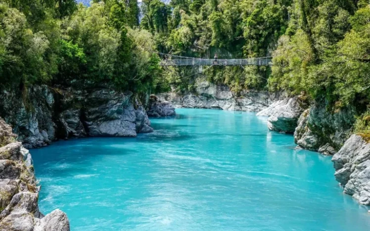 紐西蘭自駕被偷