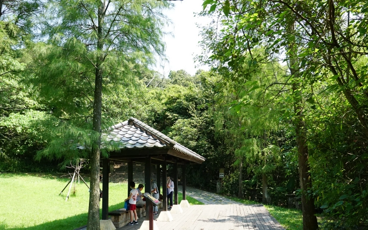 台北小溪頭老鷹平台