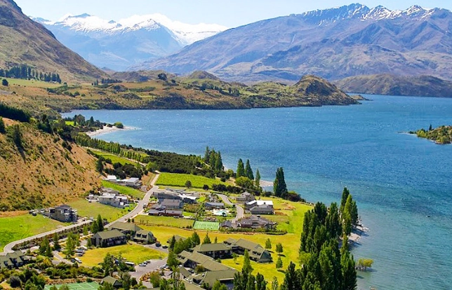 紐西蘭開車國際駕照