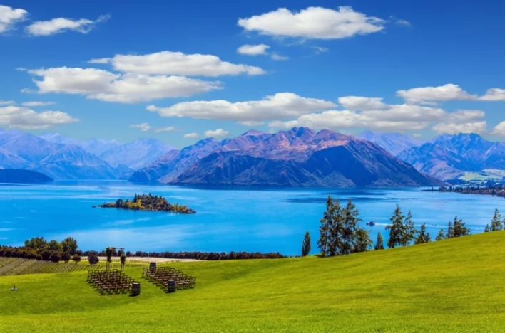 紐西蘭人口面積