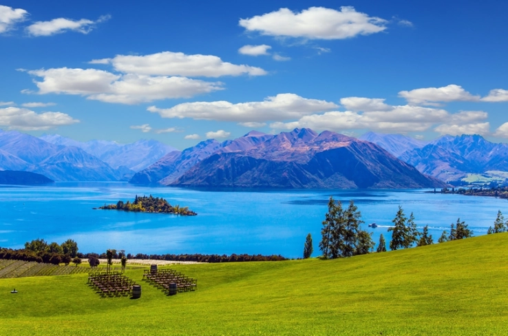 紐西蘭人口面積解析：地廣人稀的國度對旅行者意味著什麼？