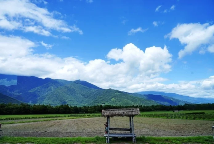 花東五天四夜開車